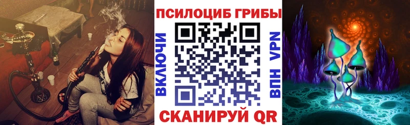 Галлюциногенные грибы Psilocybe  Шенкурск 