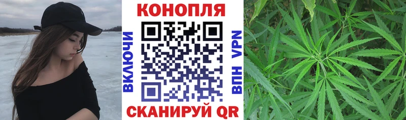 Марихуана гибрид  Шенкурск 